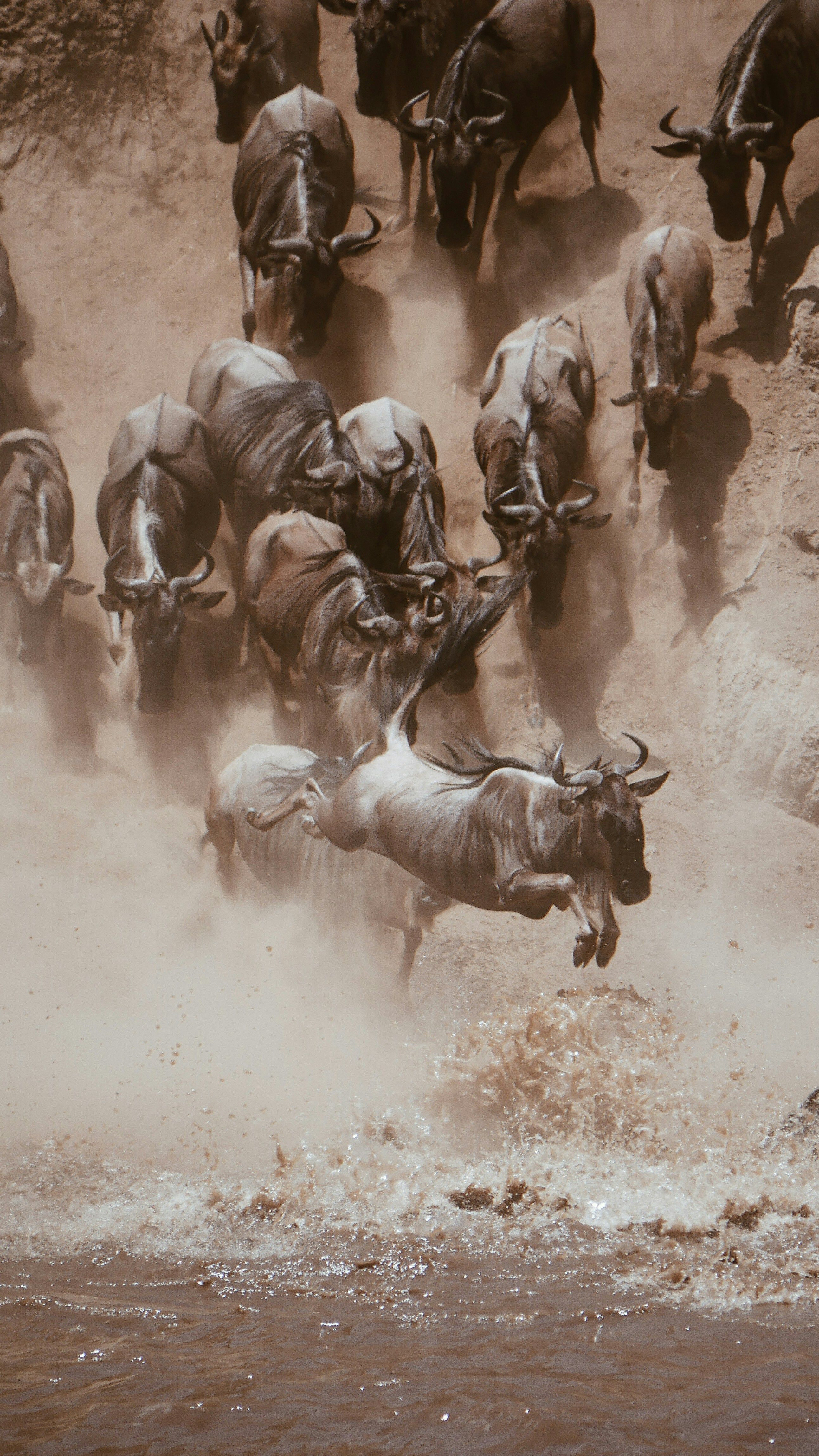 Maasai Mara