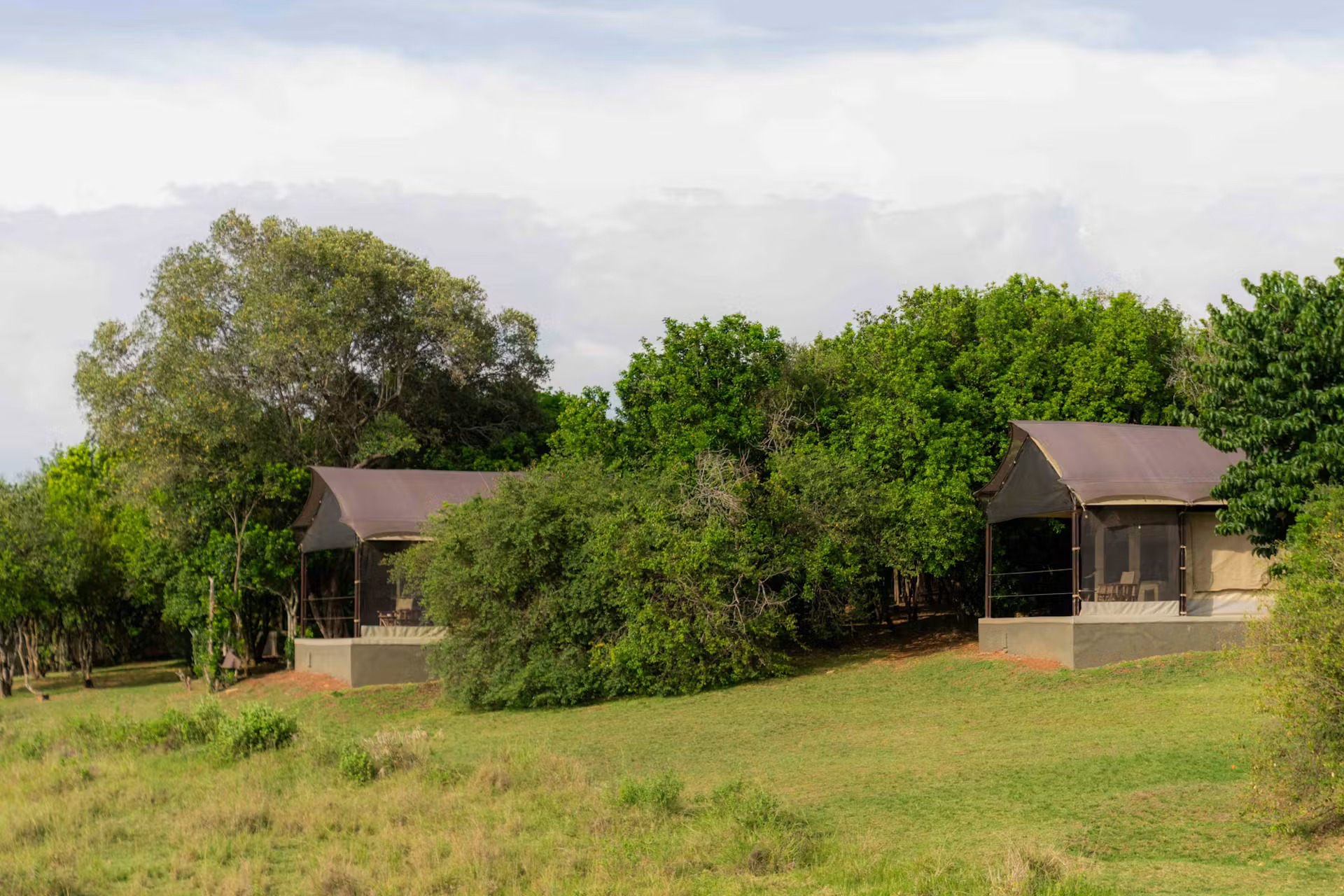 Click to view larger Entim Main Camp photo 8