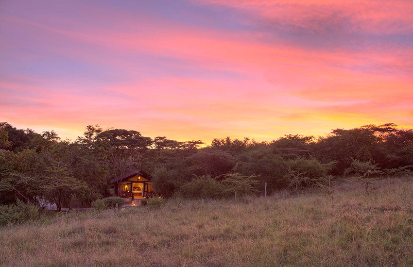 Click to view larger Sarova Mara Game Camp photo 3