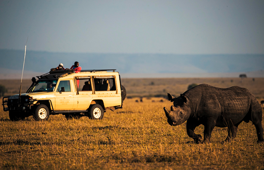 Click to view larger Sarova Mara Game Camp photo 8