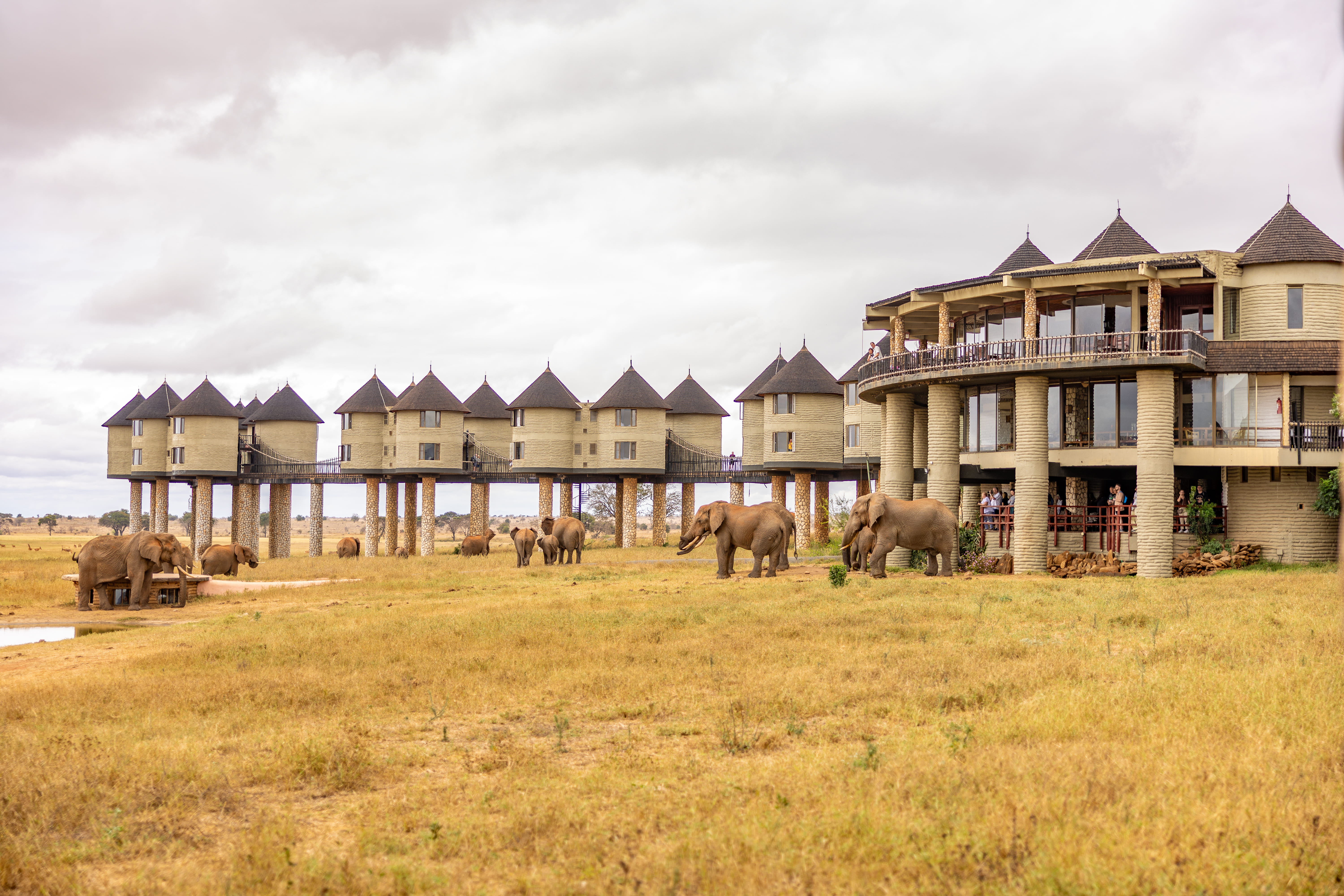 Salt Lick Safari Lodge  photo 2