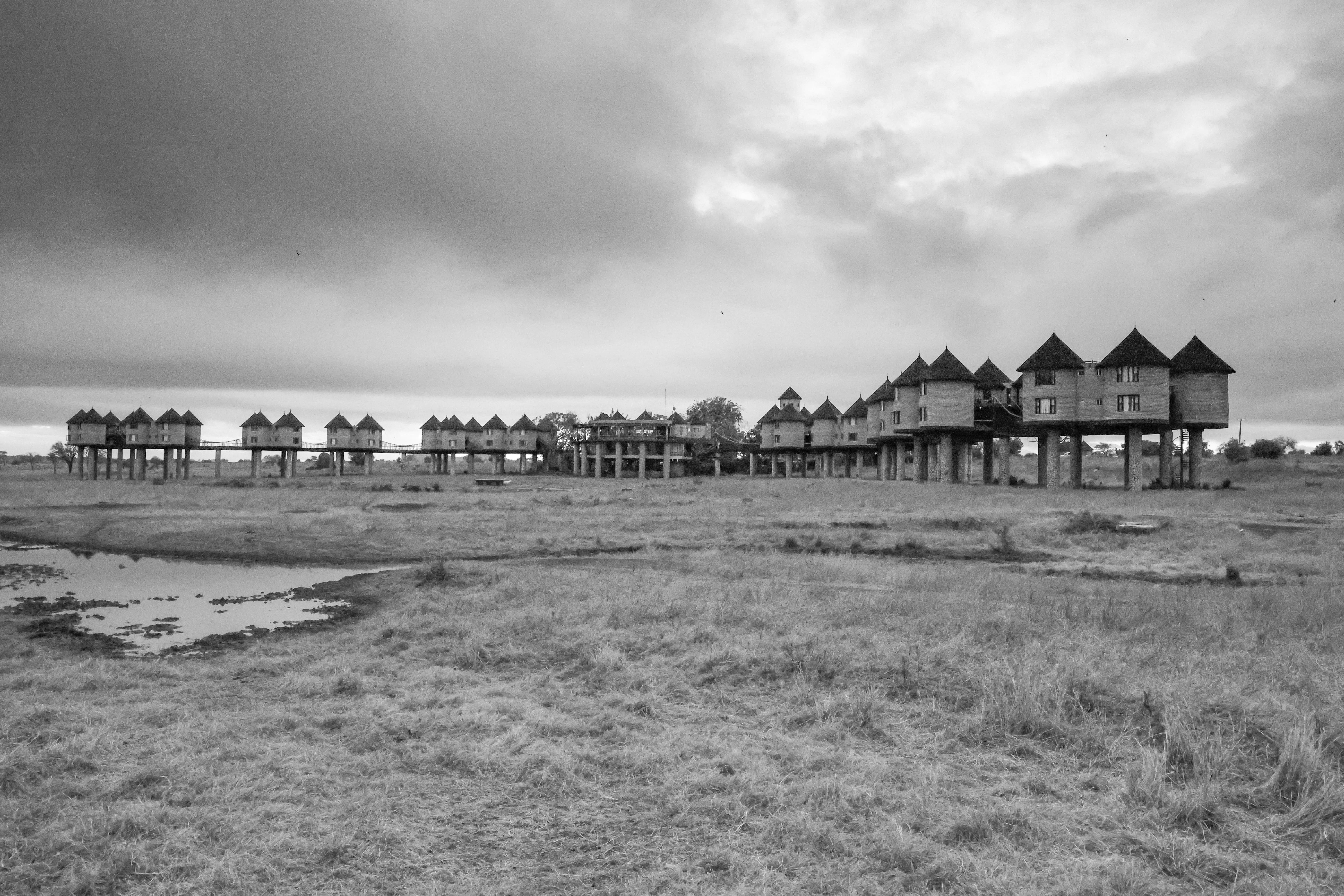 Salt Lick Safari Lodge  photo 4