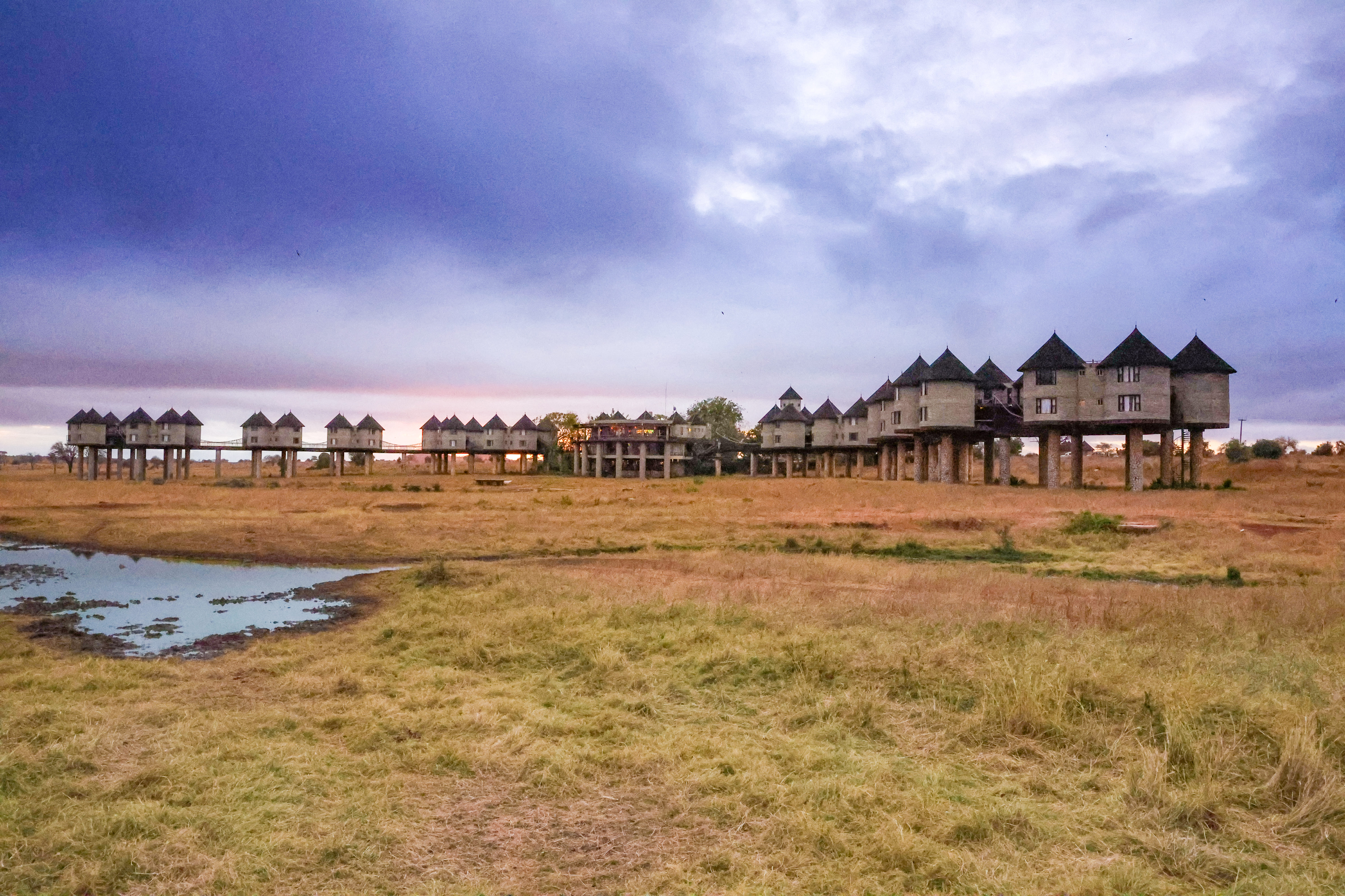 Salt Lick Safari Lodge  photo 3