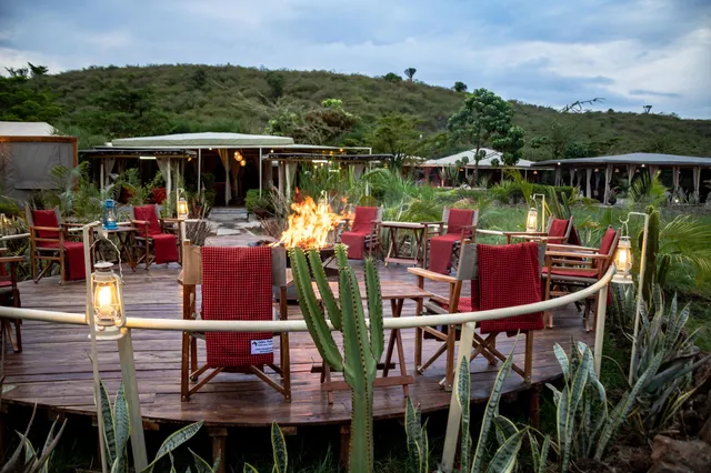 Click to view larger Zebra Plains Mara Camp photo 8