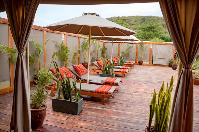 Click to view larger Zebra Plains Mara Camp photo 1