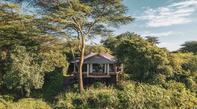 Maasai Mara Safari photo 5