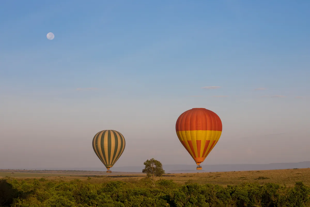 Maasai Mara Safari