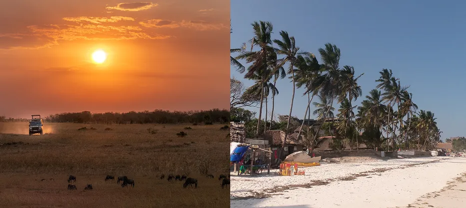 Safari & Beach Combo